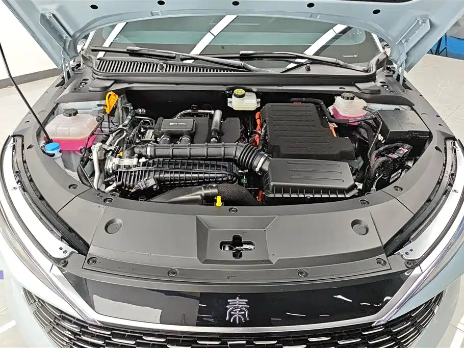 Qin L DM-i Smart Drive 80 KM Leading