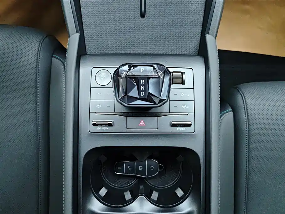 Qin L DM-i Smart Drive 80 KM Leading