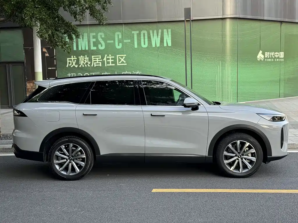 Fengyun T9 120 Long Range Comfort 5-seat Ternary Lithium