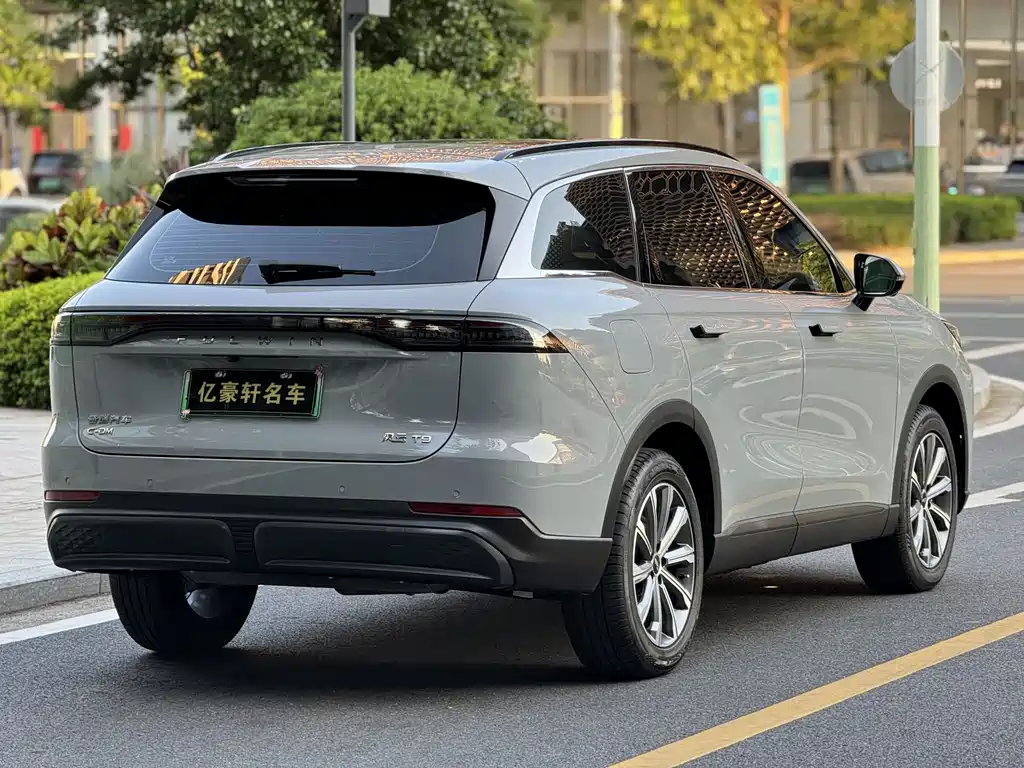 Fengyun T9 120 Long Range Comfort 5-seat Ternary Lithium