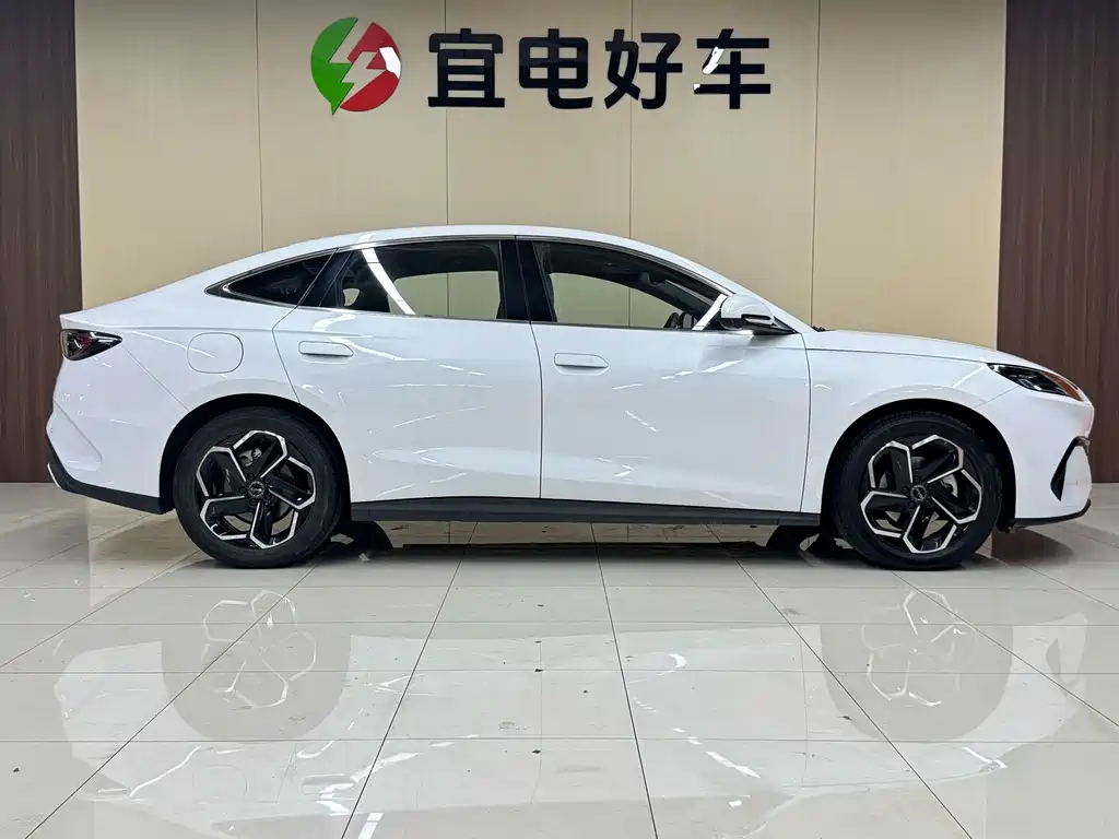 Seal 06 DM-i 120 KM Flagship