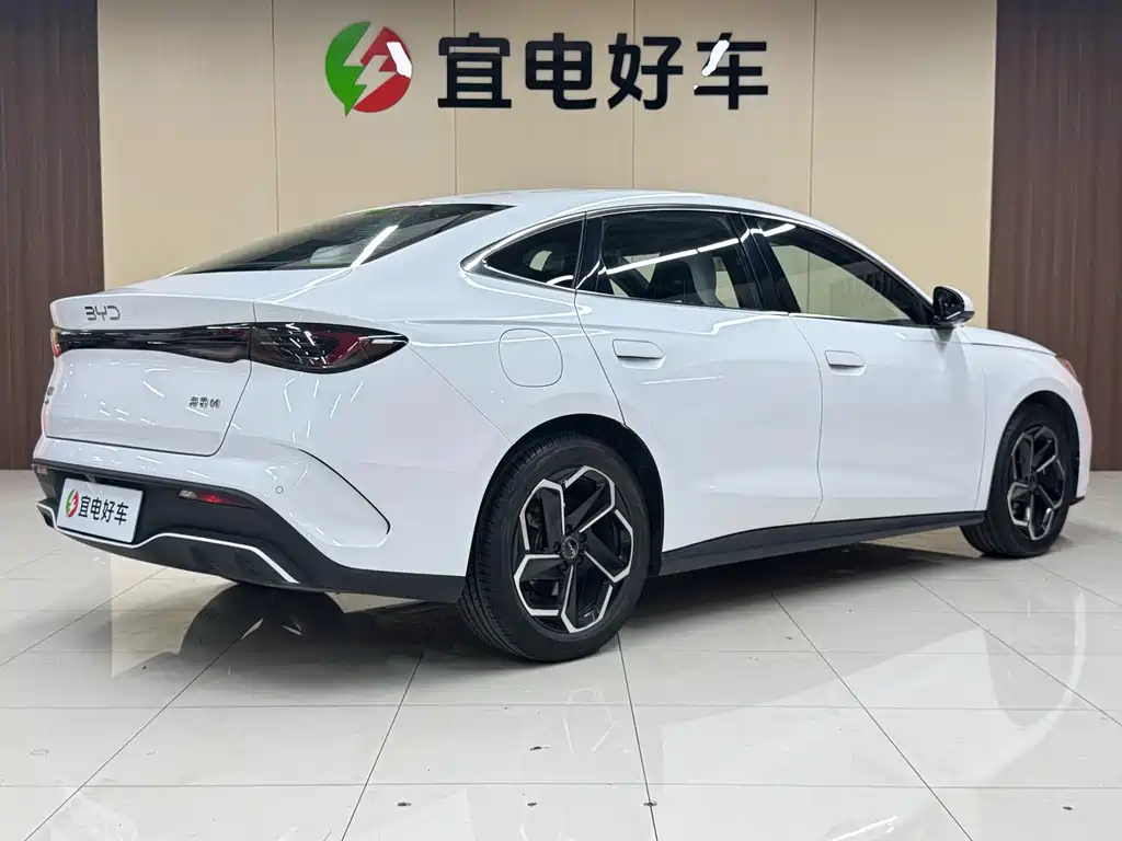 Seal 06 DM-i 120 KM Flagship