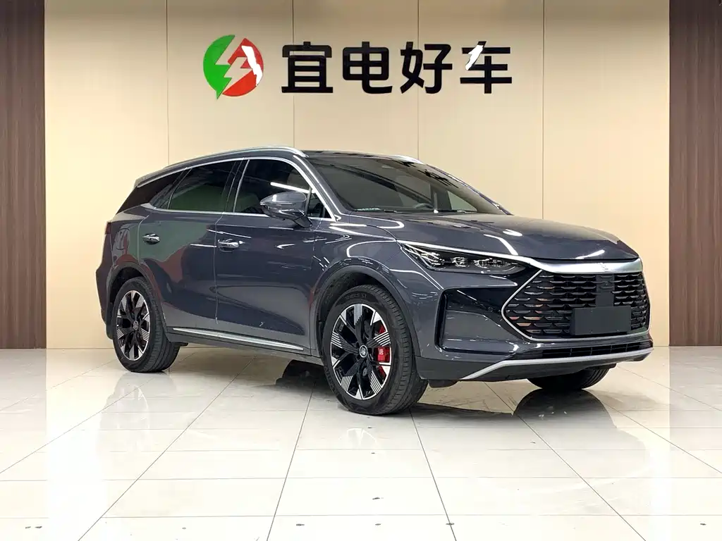 Tang NEV 唐新能源 2024款 DM-p 冠军版 215 KM 四驱旗舰型