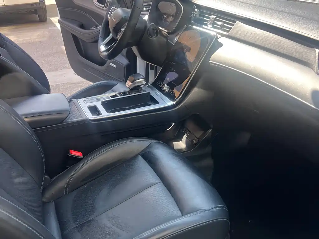 Roewe RX5 PLUS 300 TGI Auto Ali China Style Luxury