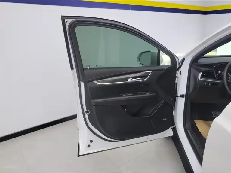 Cadillac XT5 2.0 T 4 WD Luxury (Hummingbird)