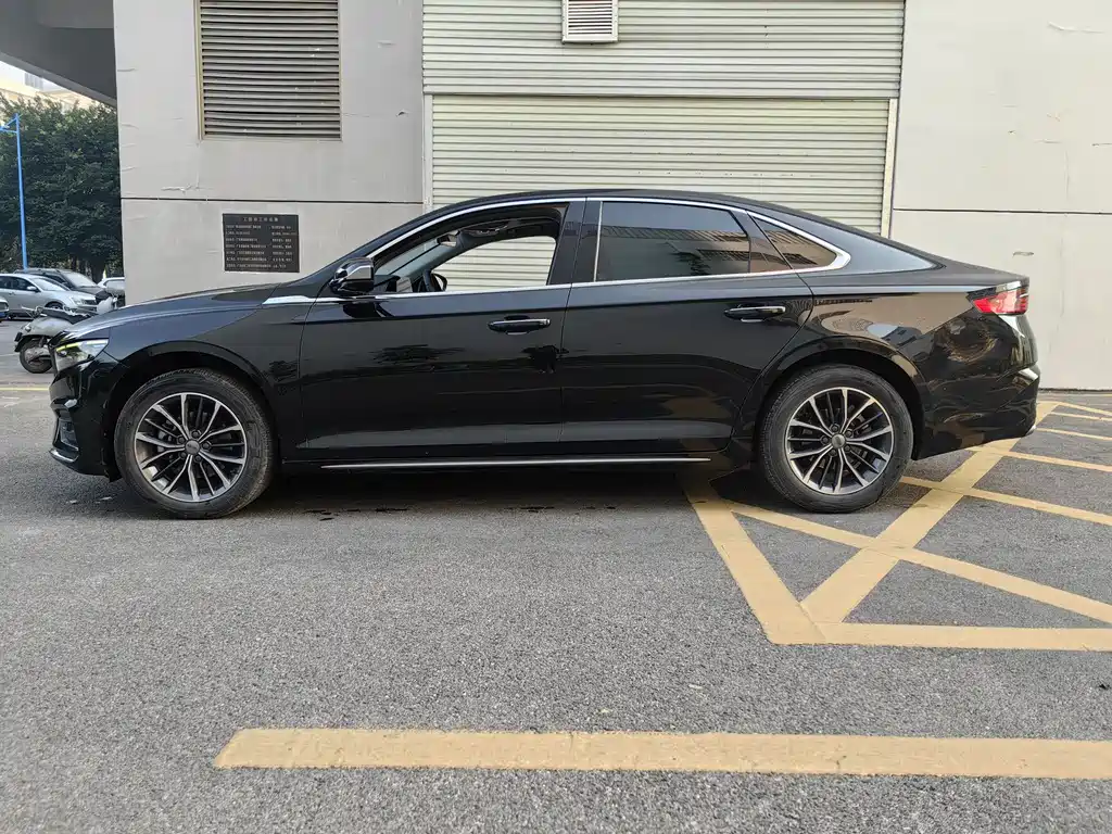 Xingrui 2.0 TD Luxury