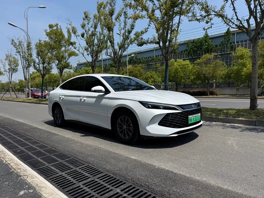 Qin L DM-i 80 KM Leading
