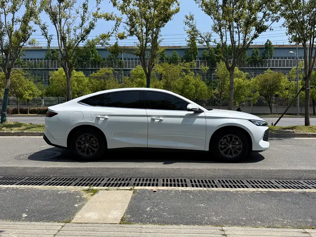 Qin L DM-i 80 KM Leading