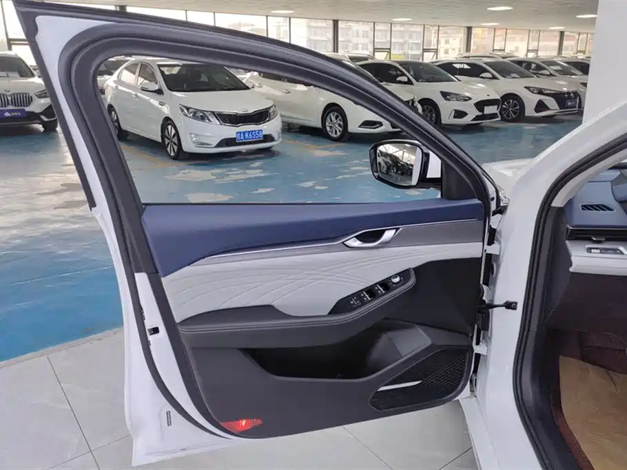 Xingrui Facelift 2.0 TD Distinguished