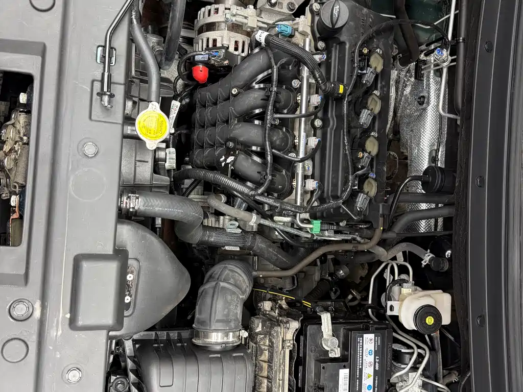 Fengxing T5 Prosperity 1.6 L Manual Build Dream 5-seat