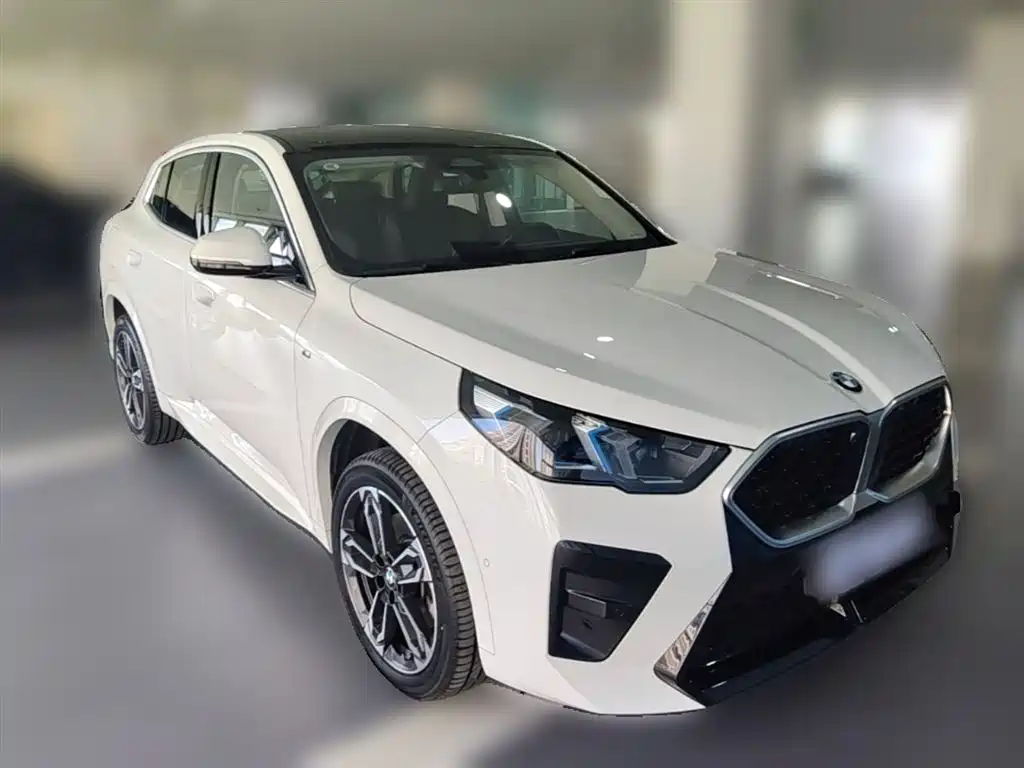 BMW X2 (Import) sDrive25 i M Sport Package