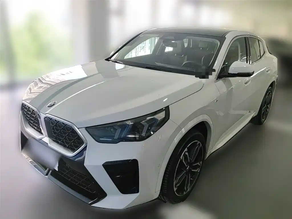 BMW X2 (Import) sDrive25 i M Sport Package