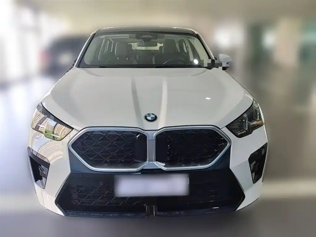 BMW X2 (Import) sDrive25 i M Sport Package
