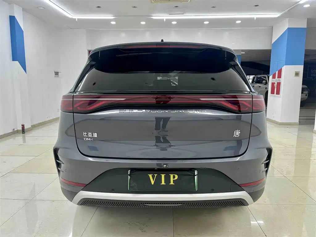 Tang NEV DM-i 115 KM Honored