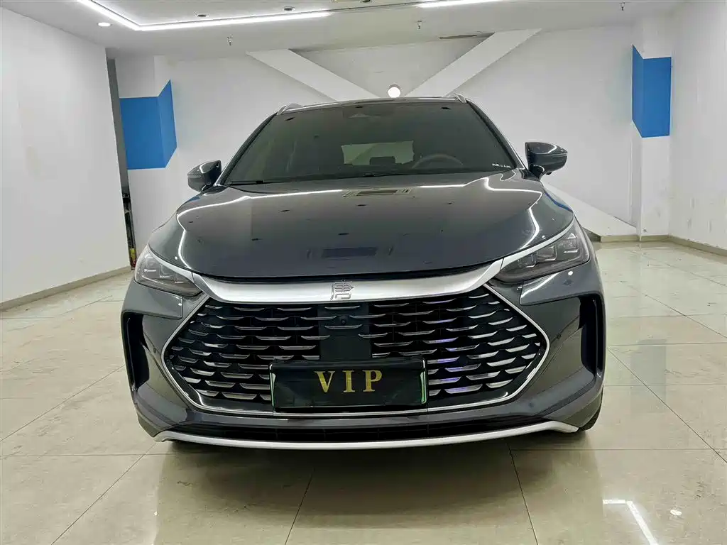 Tang NEV DM-i 115 KM Honored