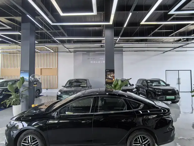 BYD Seal 05 DM-i DM-i Smart Drive 120 KM Flagship