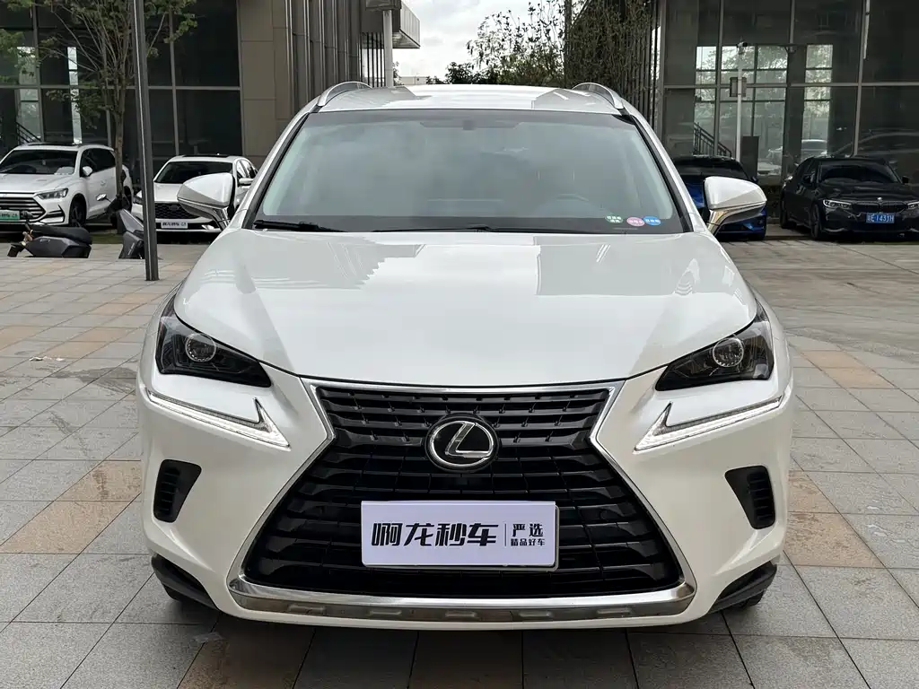 Lexus NX 300 FWD Sharp Travel