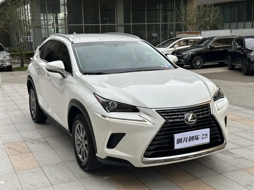 Lexus NX 300 FWD Sharp Travel