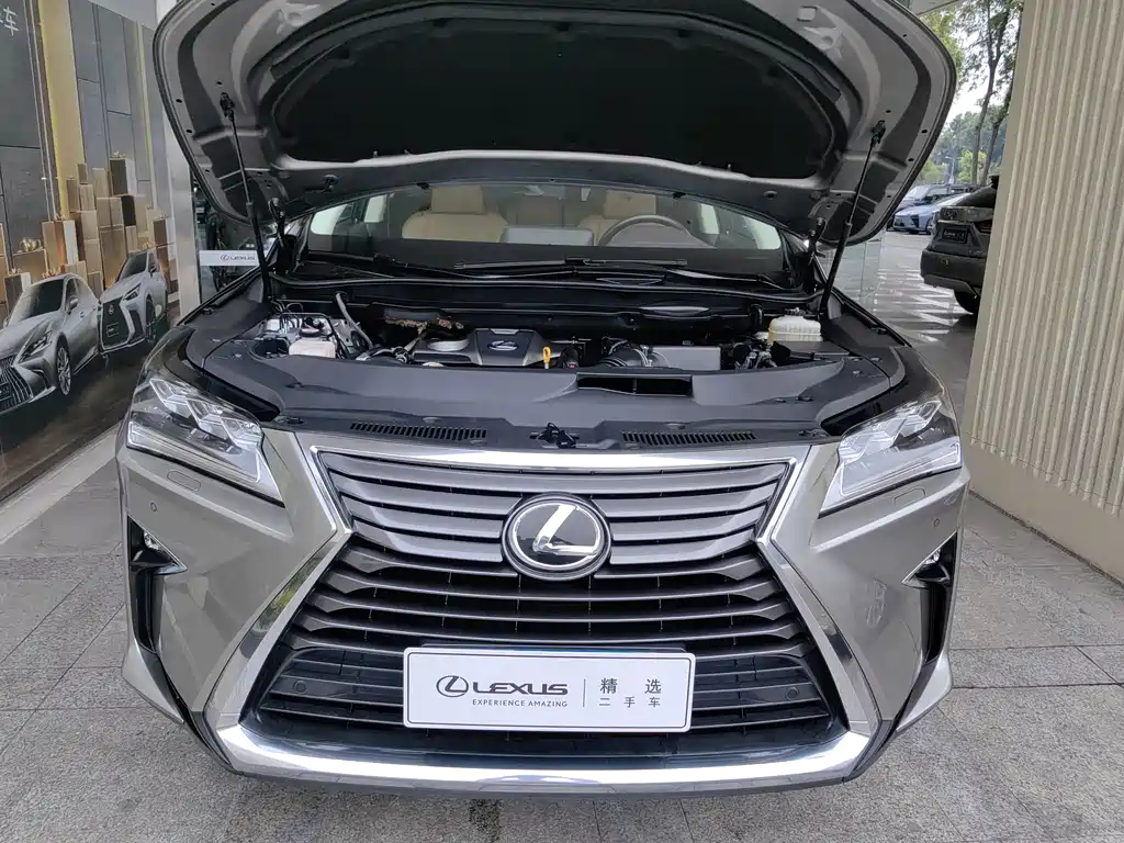Lexus RX 300 4 WD Elegant CN-V