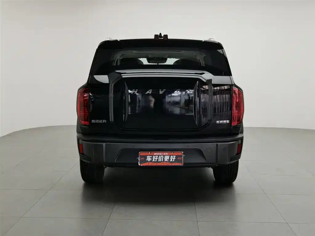 Haval Cool Dog 1.5 T DCT 4 WD Trend Wild