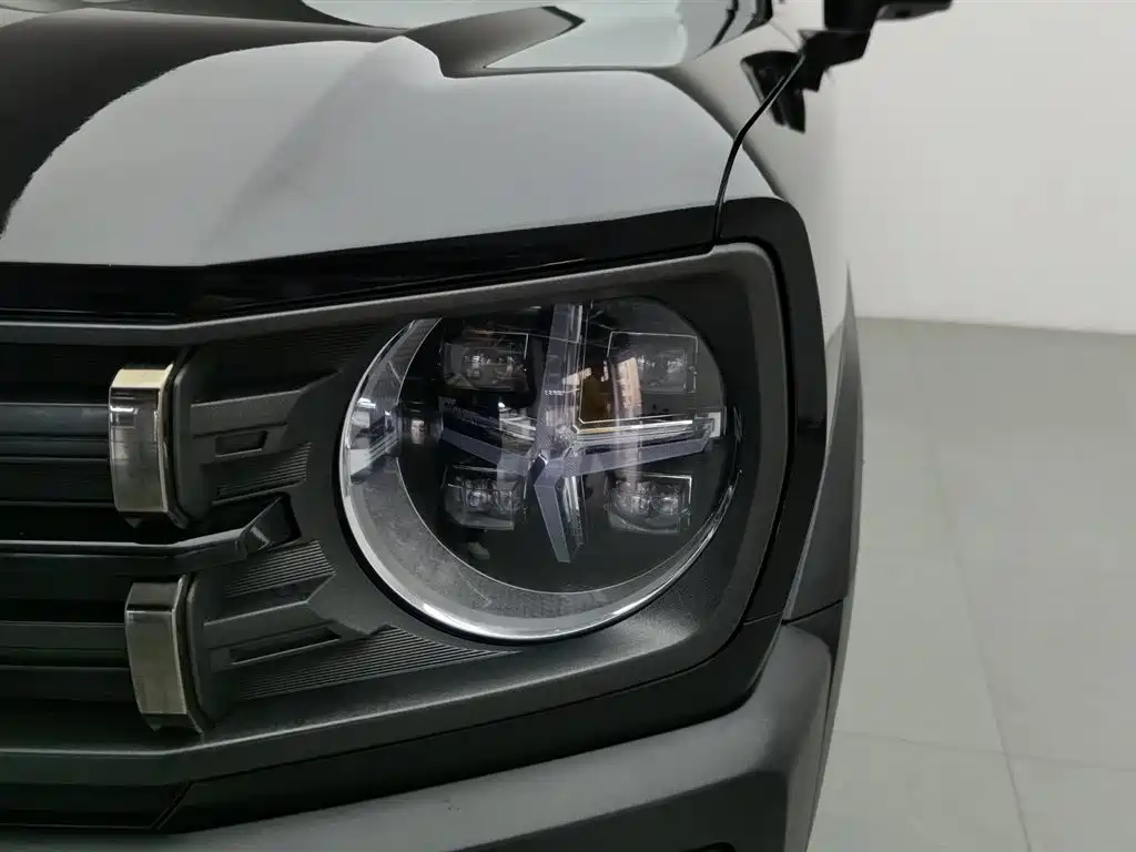 Haval Cool Dog 1.5 T DCT 4 WD Trend Wild