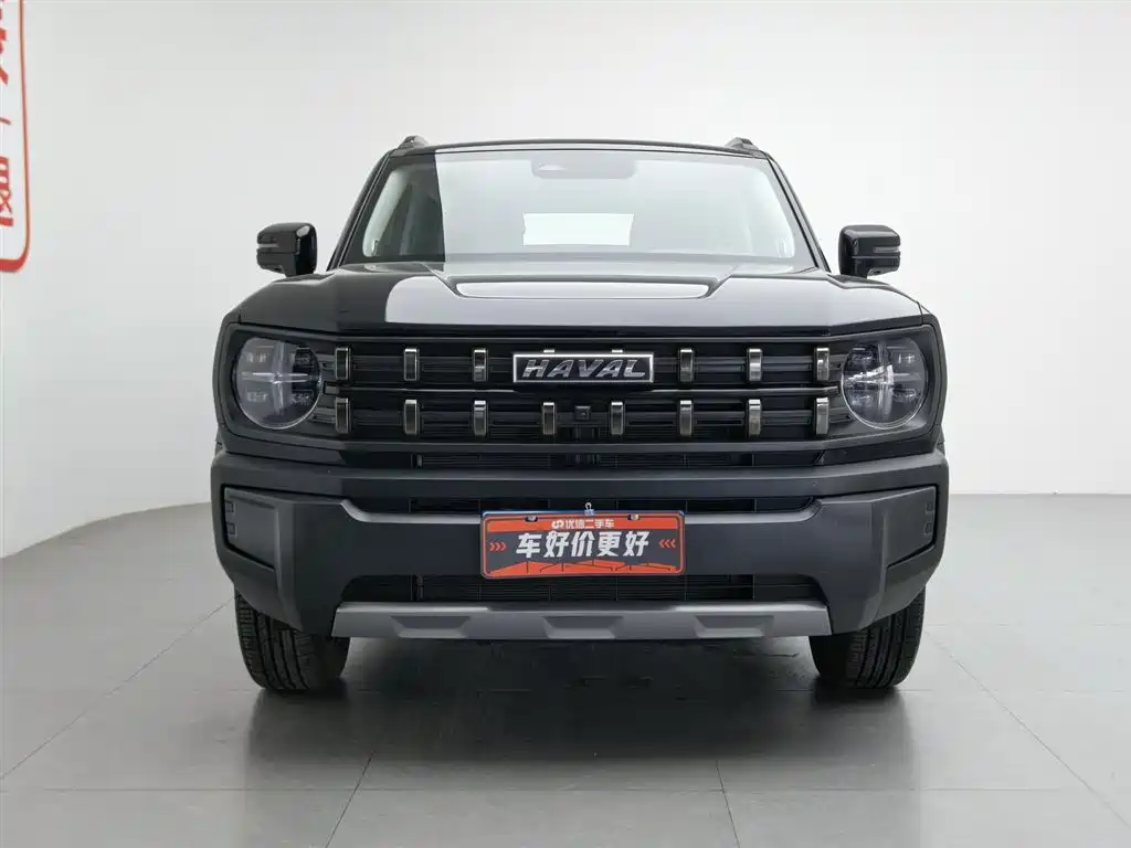 Haval Cool Dog 1.5 T DCT 4 WD Trend Wild