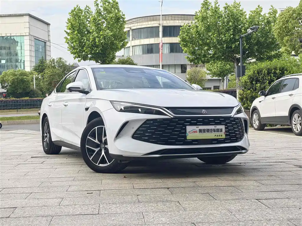 Qin L DM-i Smart Drive 120 KM Transcend
