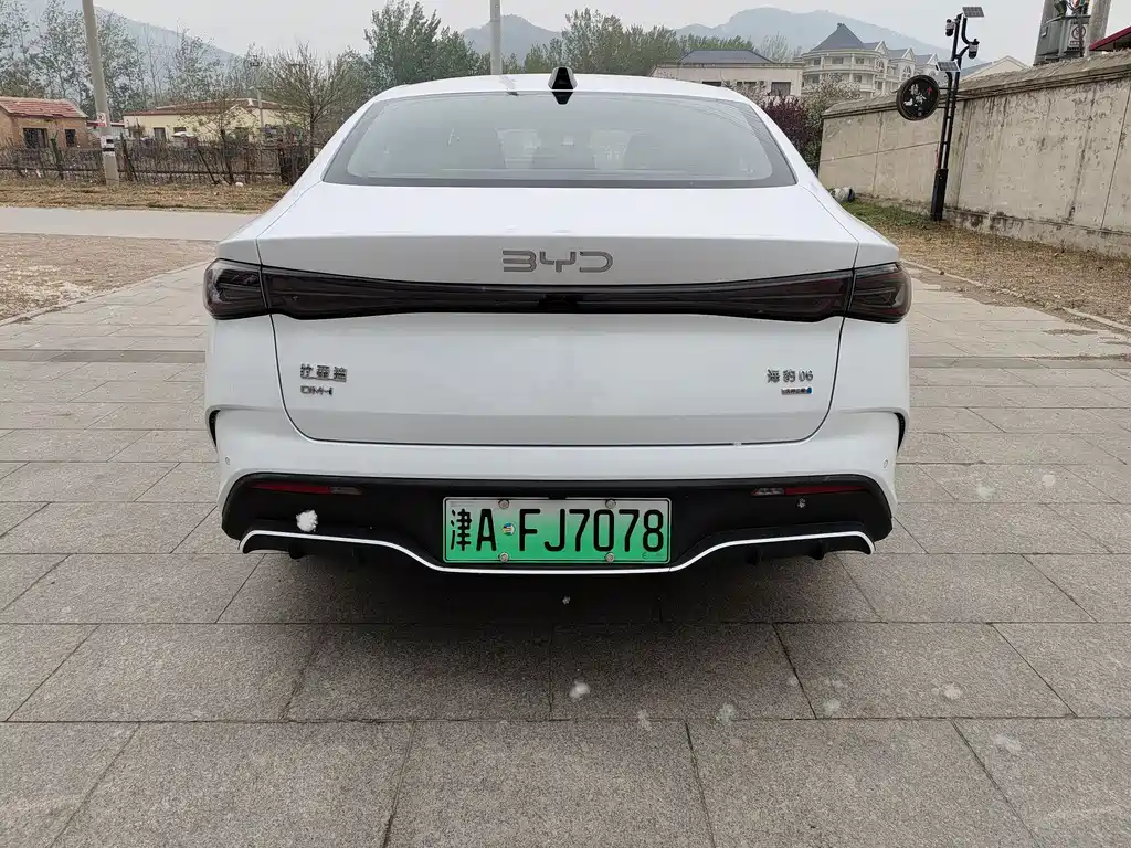 Seal 06 DM-i Smart Drive 120 KM Premium