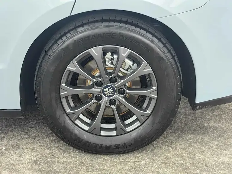 BYD Qin L DM-i 80 KM Leading