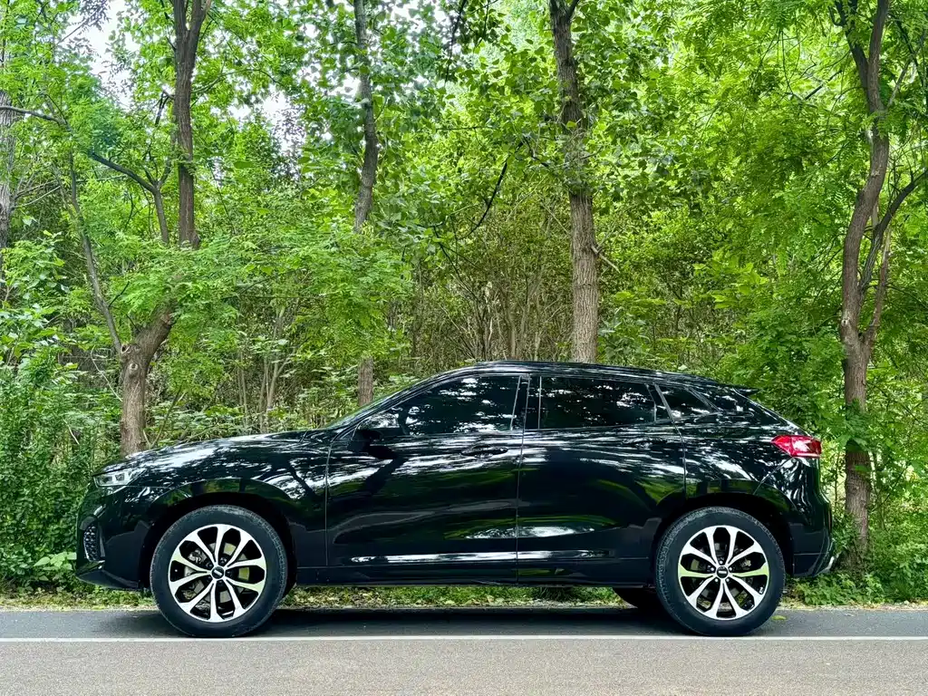 WEY VV7 Upgraded 2.0 T Flagship CN-V