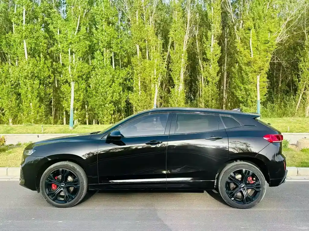 WEY VV7 2.0 T Flagship