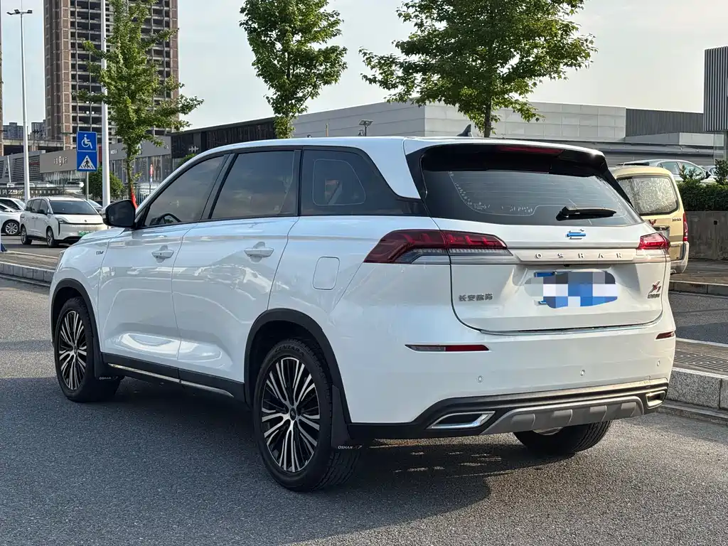 Changan Oshan X7 1.5 T Auto Luxury