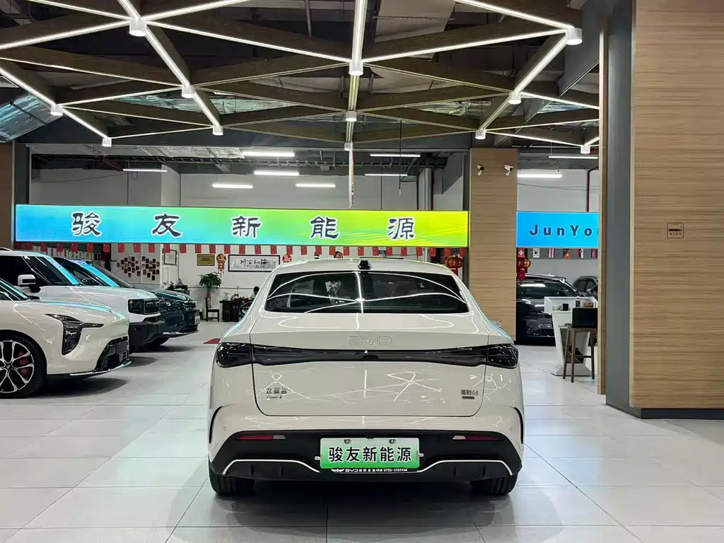 Seal 06 DM-i Smart Drive 120 KM Premium