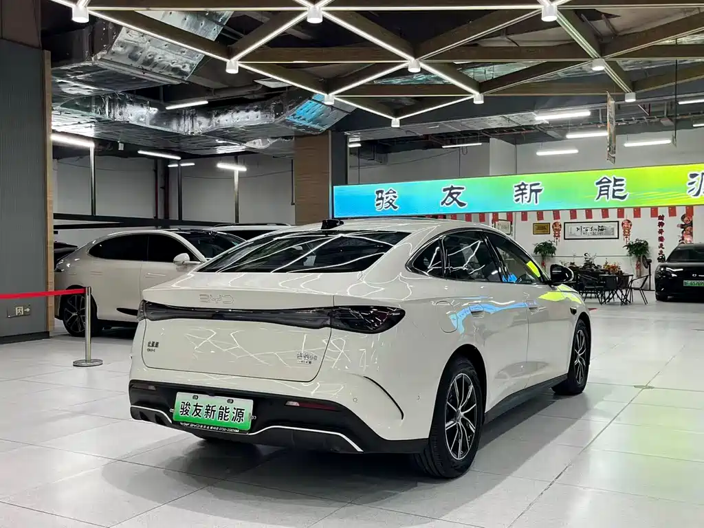 Seal 06 DM-i Smart Drive 120 KM Premium