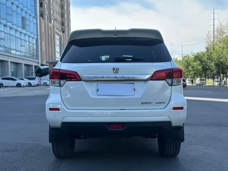 Dongfeng 帕拉丁 帕拉丁 2024款 2.0 T 四驱臻享版