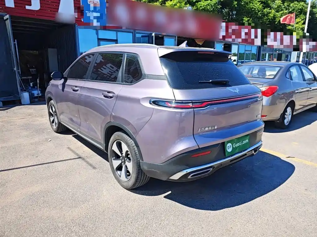Wuling Xingyun 五菱星云 2023款 2.0 L DHT 标准版