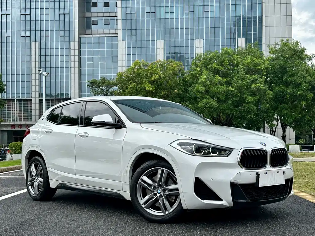 BMW X2 xDrive25 i M Offroad Package