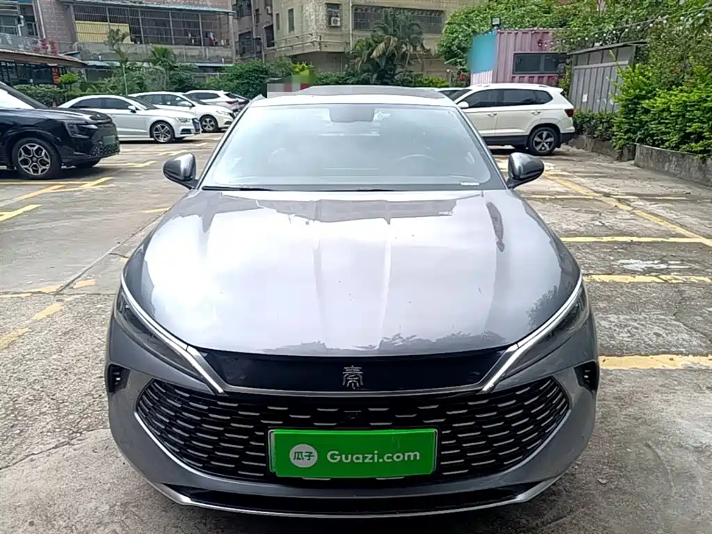 Qin L DM-i 80 KM Transcend