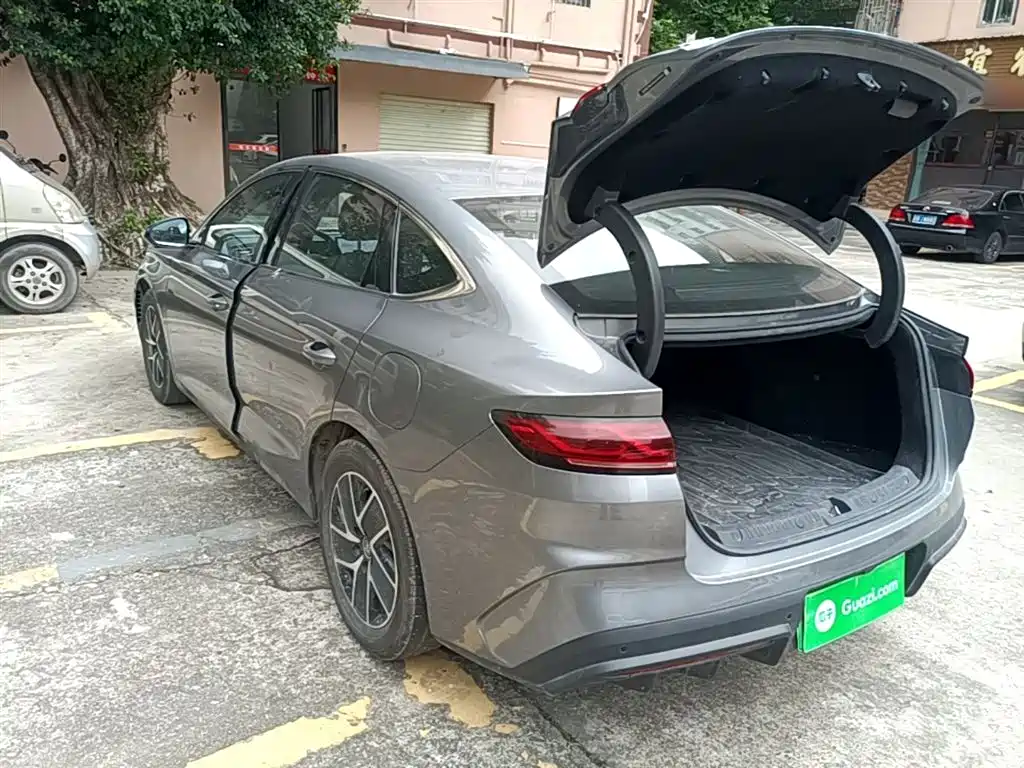 Qin L DM-i 80 KM Transcend