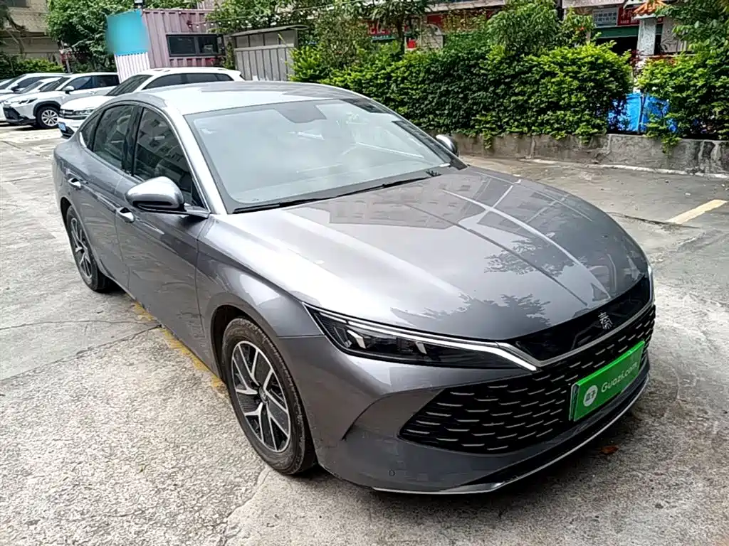 Qin L DM-i 80 KM Transcend