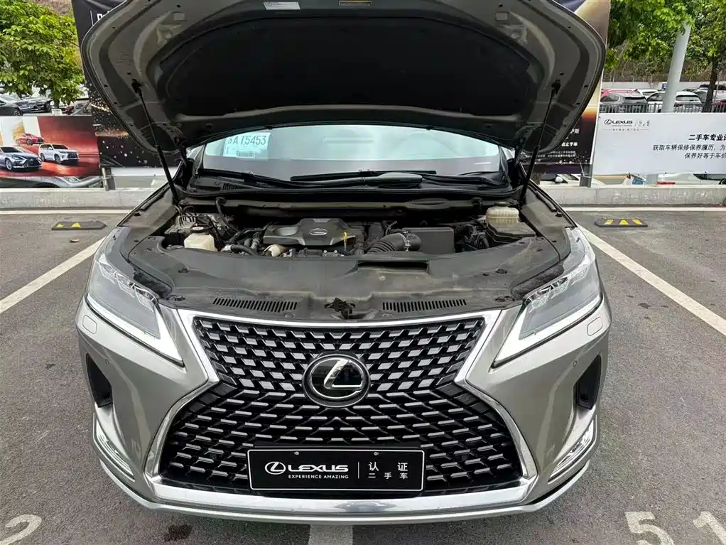 Lexus RX 300 4 WD Elegant CN-V