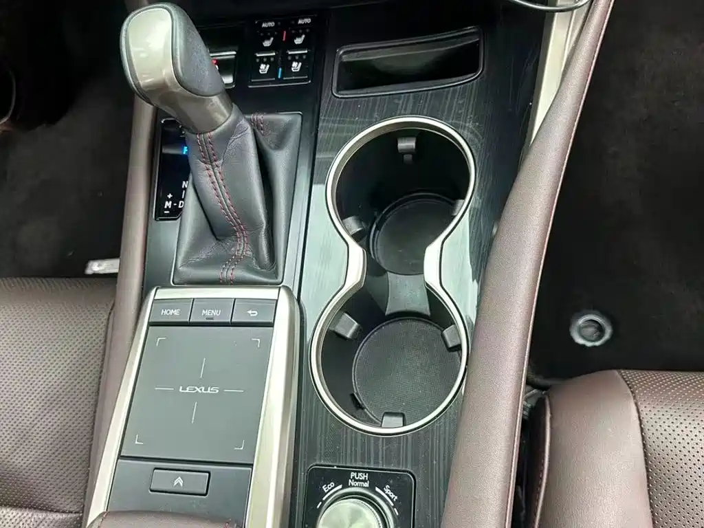 Lexus RX 300 4 WD Elegant CN-V
