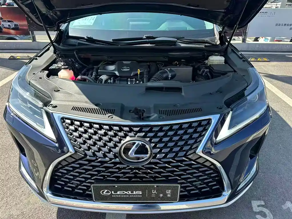 Lexus RX 300 2 WD Elite CN-V