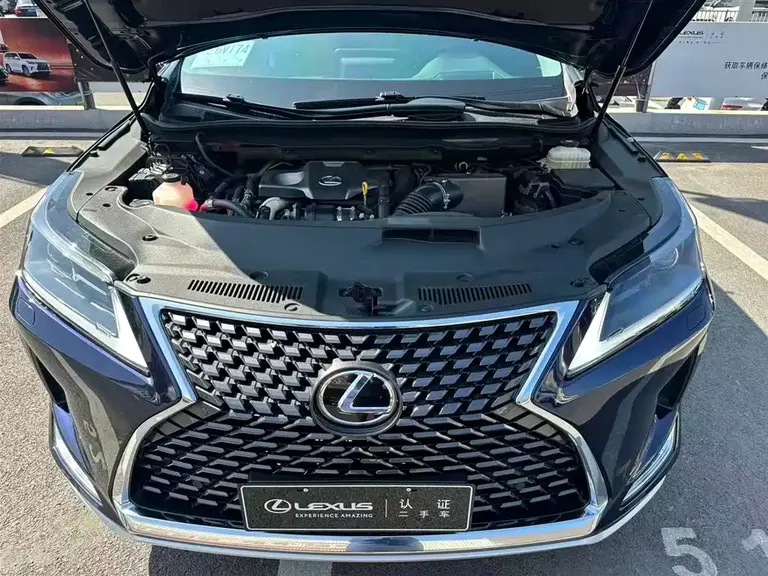 Lexus RX 300 2 WD Elite CN-V