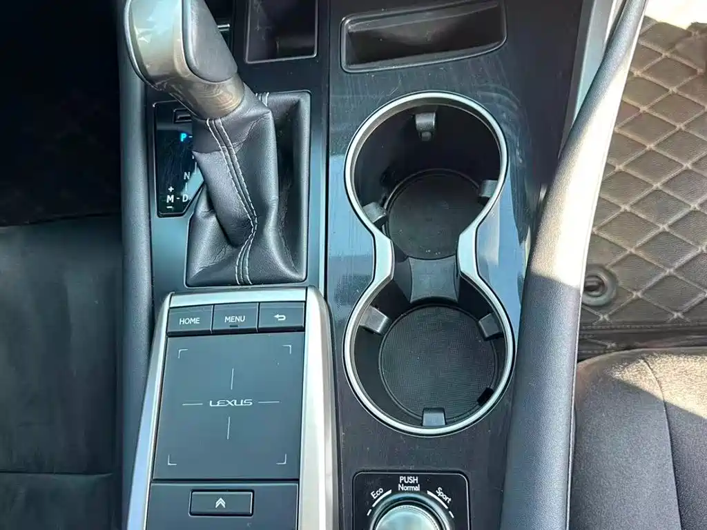 Lexus RX 300 2 WD Elite CN-V