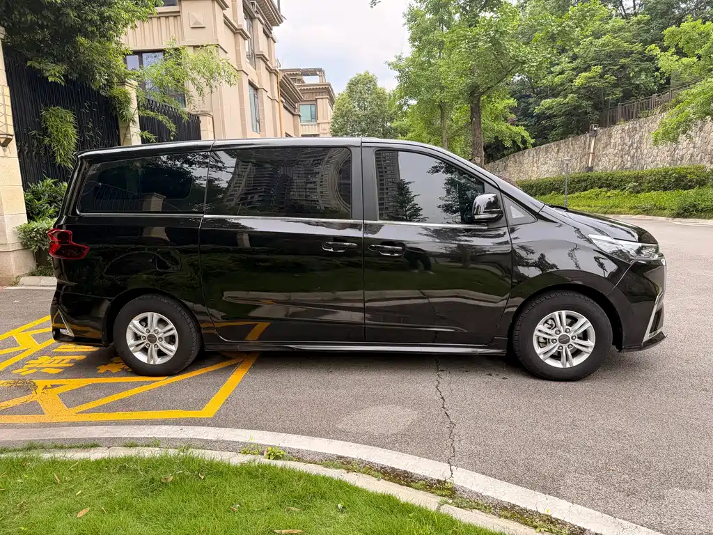 Maxus G20 Facelift ES 2.0 T Gasoline Auto Value