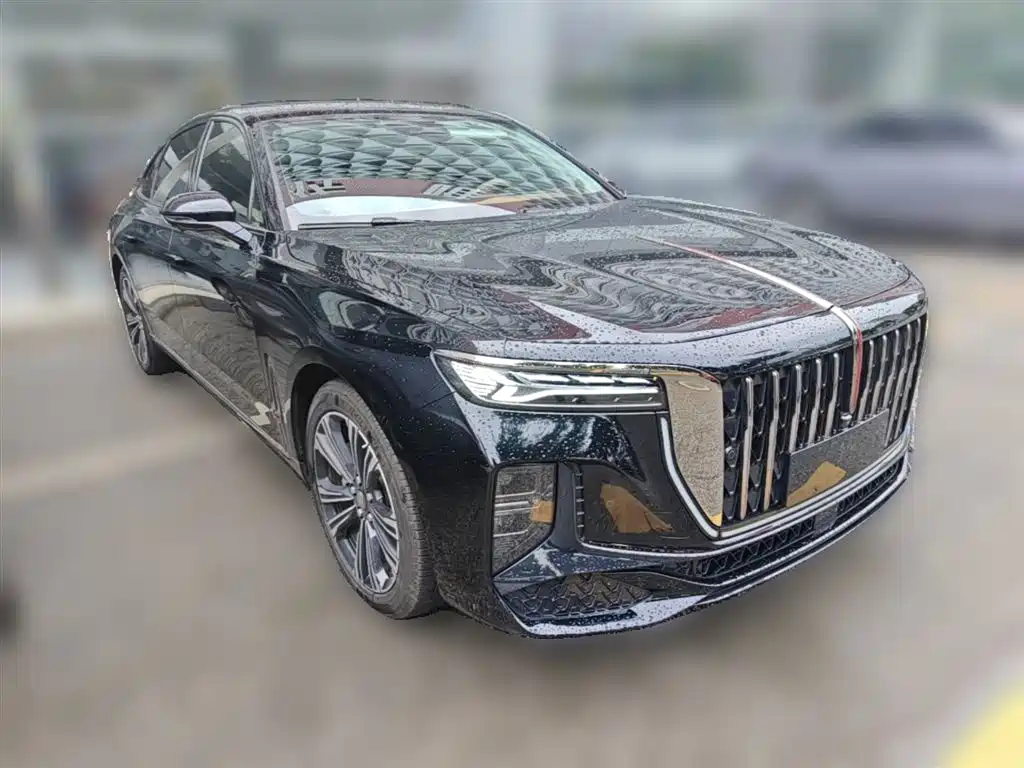 Hongqi H9 2.0 T Flagship Enjoyment Private Style