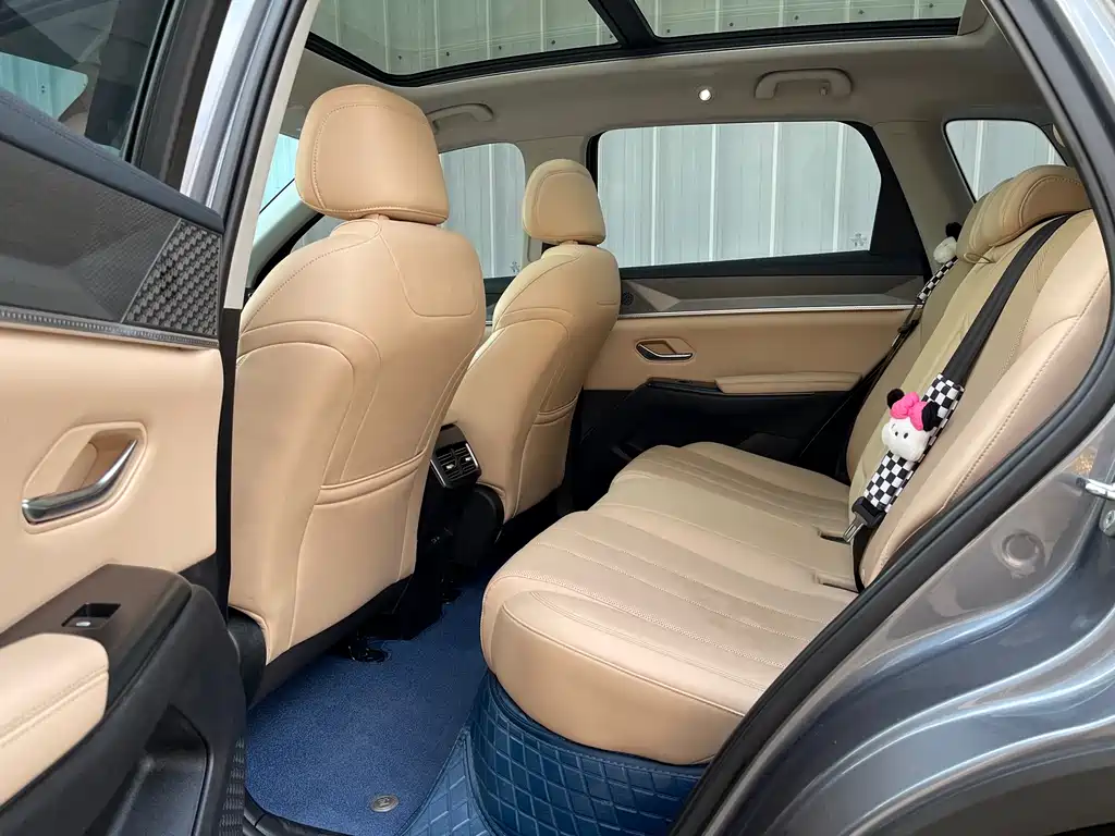 Song Pro NEV 2 nd Gen DM-i 75 KM Transcend