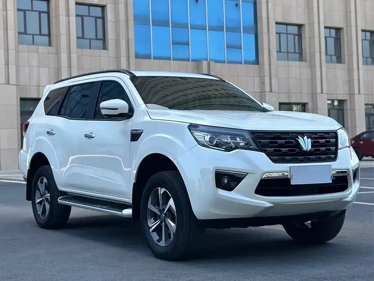 Dongfeng 帕拉丁 帕拉丁 2024款 2.0 T 四驱臻享版