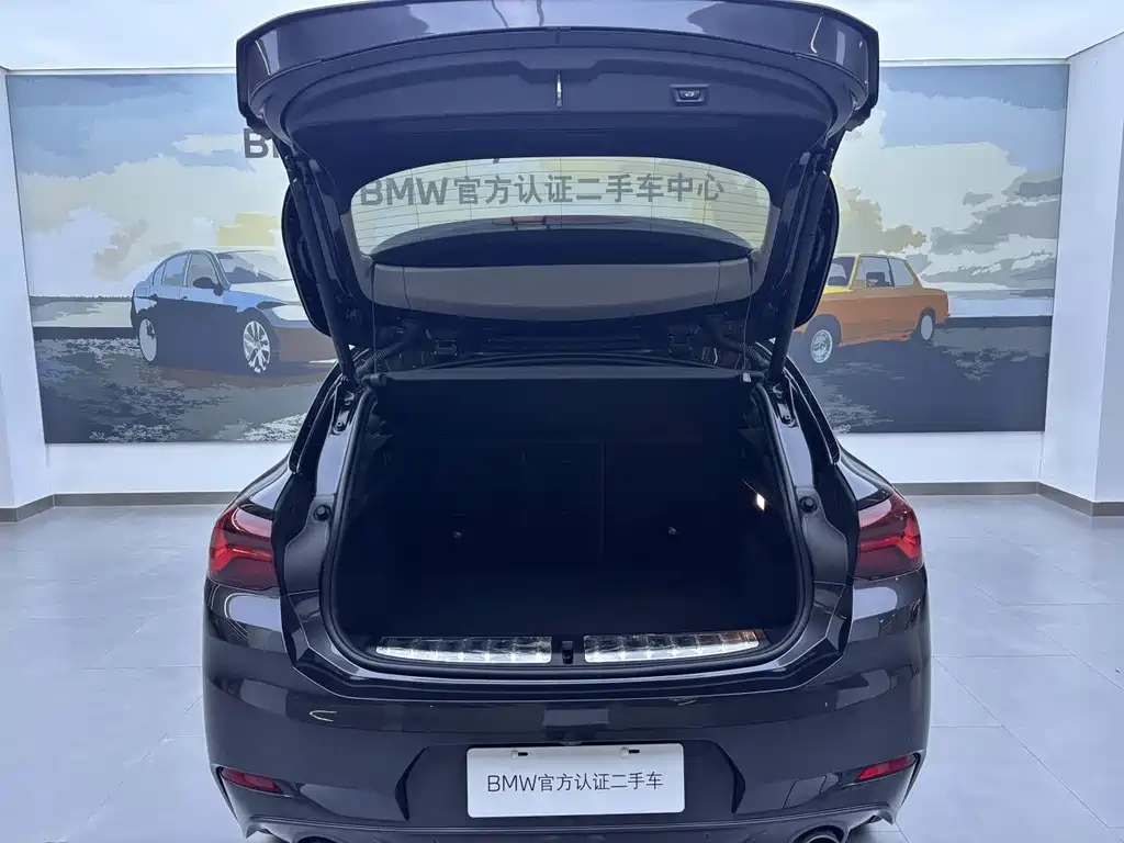 BMW X2 sDrive25 i Leading M Offroad Package